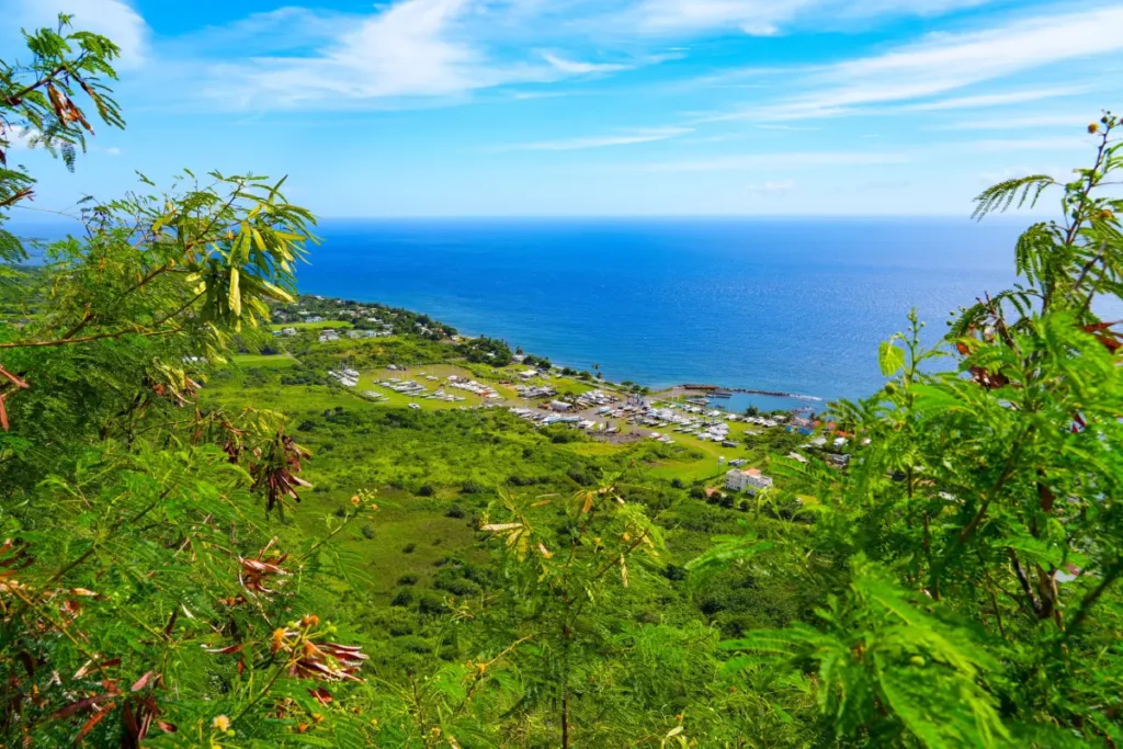 Aufenthalt vs. Staatsbürgerschaft: Welche Option passt zu Ihnen? (2026 Leitfaden)